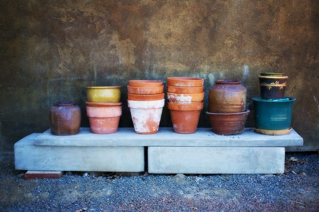 Perfect Pots for growing a citrus tree