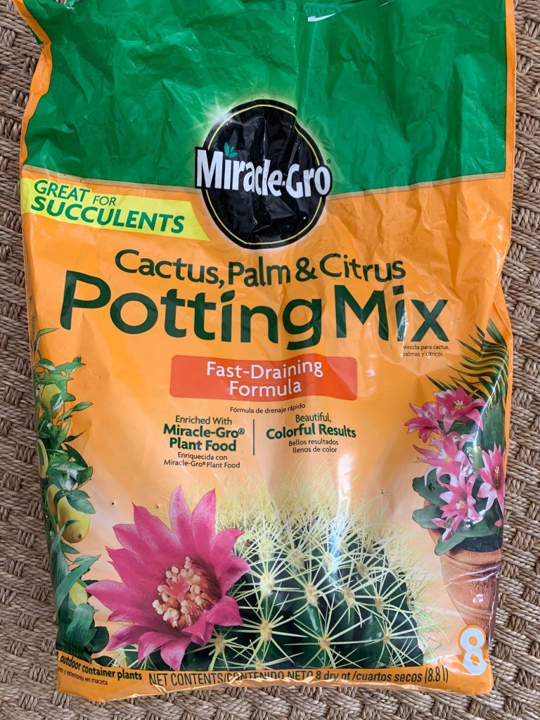 Ideal soil for a citrus tree